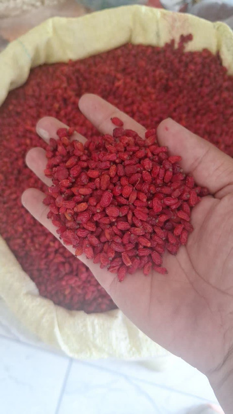 زرشک پفکی اعلا یک کیلویی