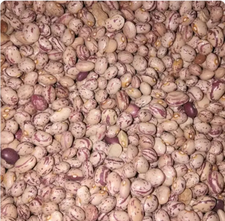 لوبیا چیتی بسته بندی 900 گرمی