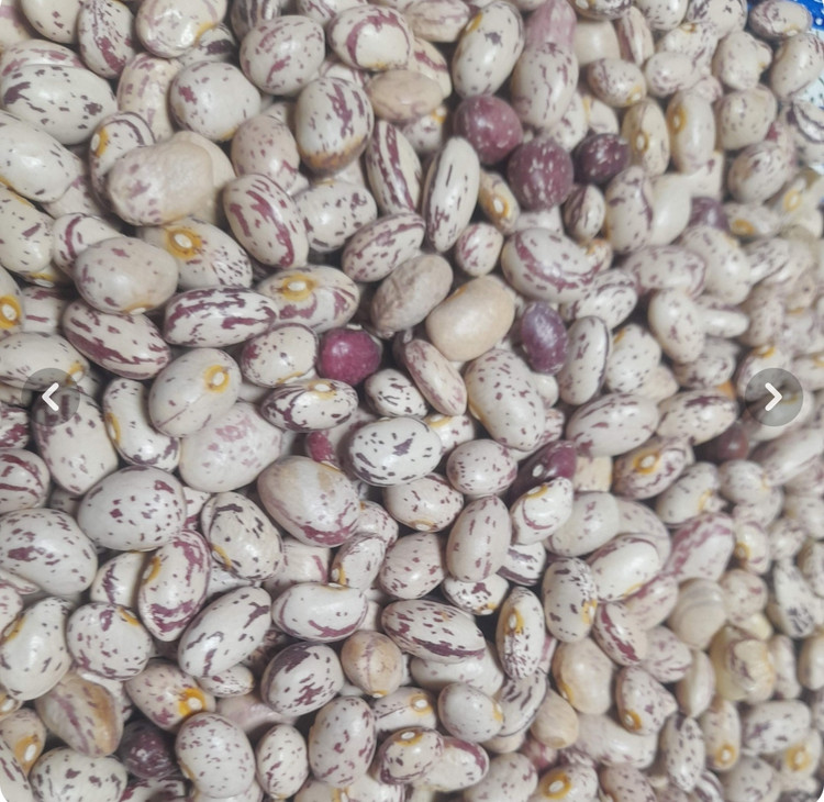 لوبیا چیتی بسته بندی 900 گرمی